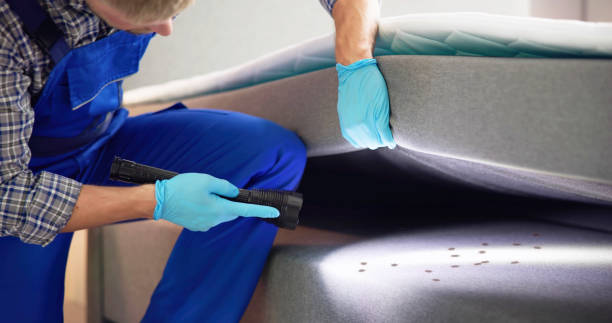 Best Residential Pest Control  in Winterville, GA