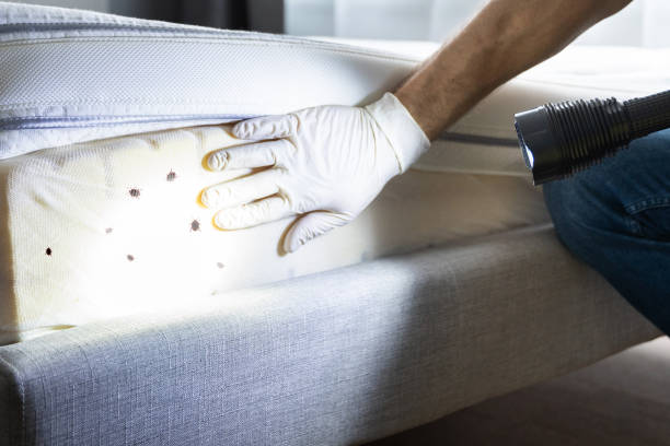 Best Insect Control  in Winterville, GA
