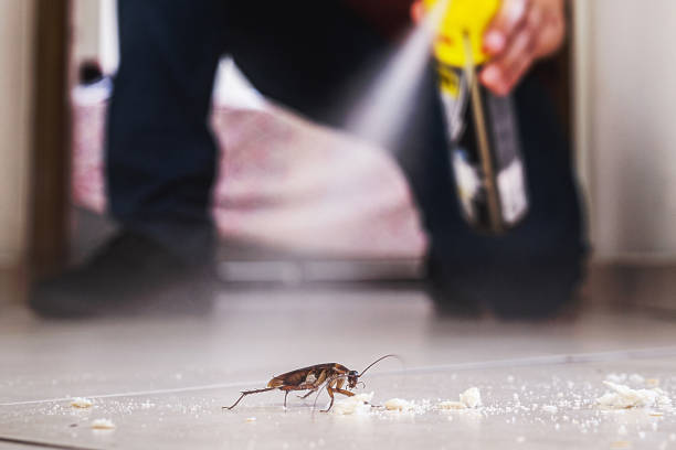 Best Pest Removal Services  in Winterville, GA