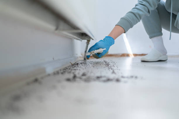 Best Affordable Pest Control Services  in Winterville, GA