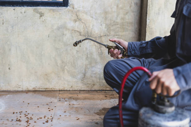Best Best Pest Control Companies  in Winterville, GA