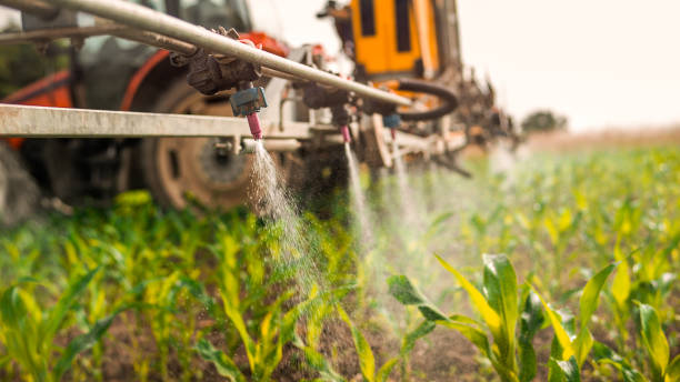Best Ant Control Services  in Winterville, GA